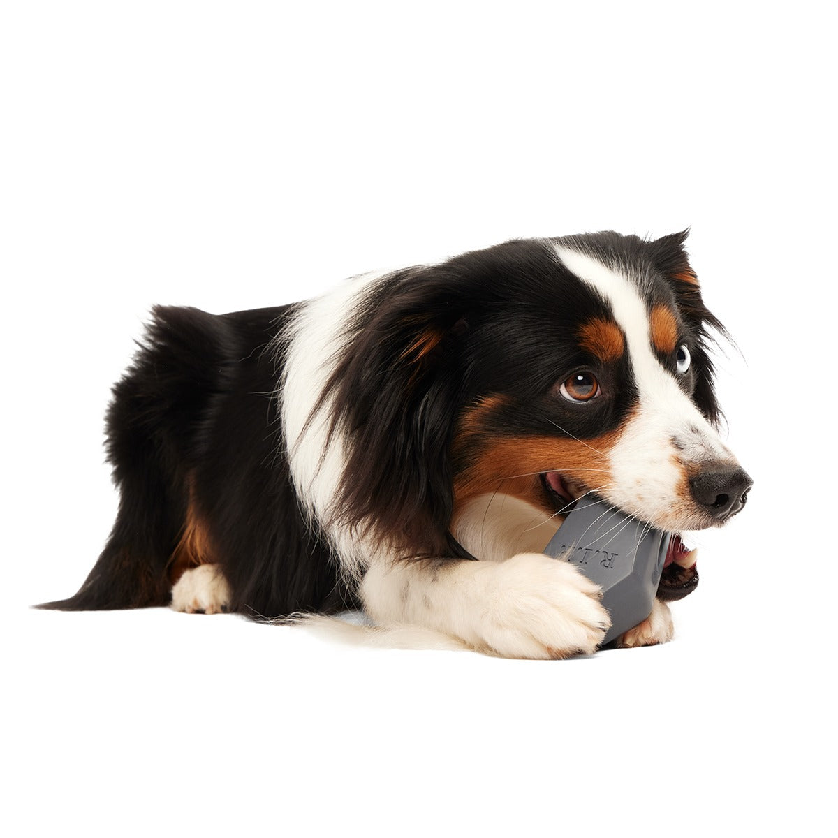 Snack Casket Super Chewer Durable Enrichment Dog Toy