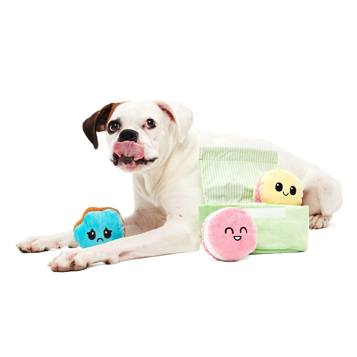 Wee Wee Macaroon Plush Multi-Part + Enrichment Dog Toy