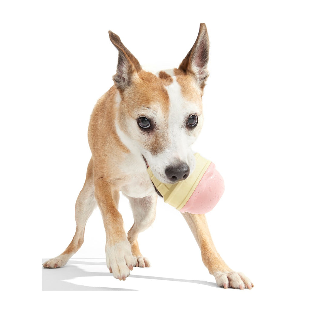 I Squeak Cone Super Chewer Durable Gnaw Dog Toy