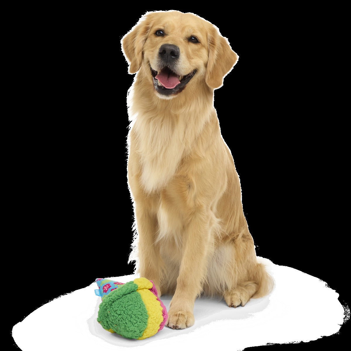 A-Sno-Ha Cone Plush Fetch Dog Toy