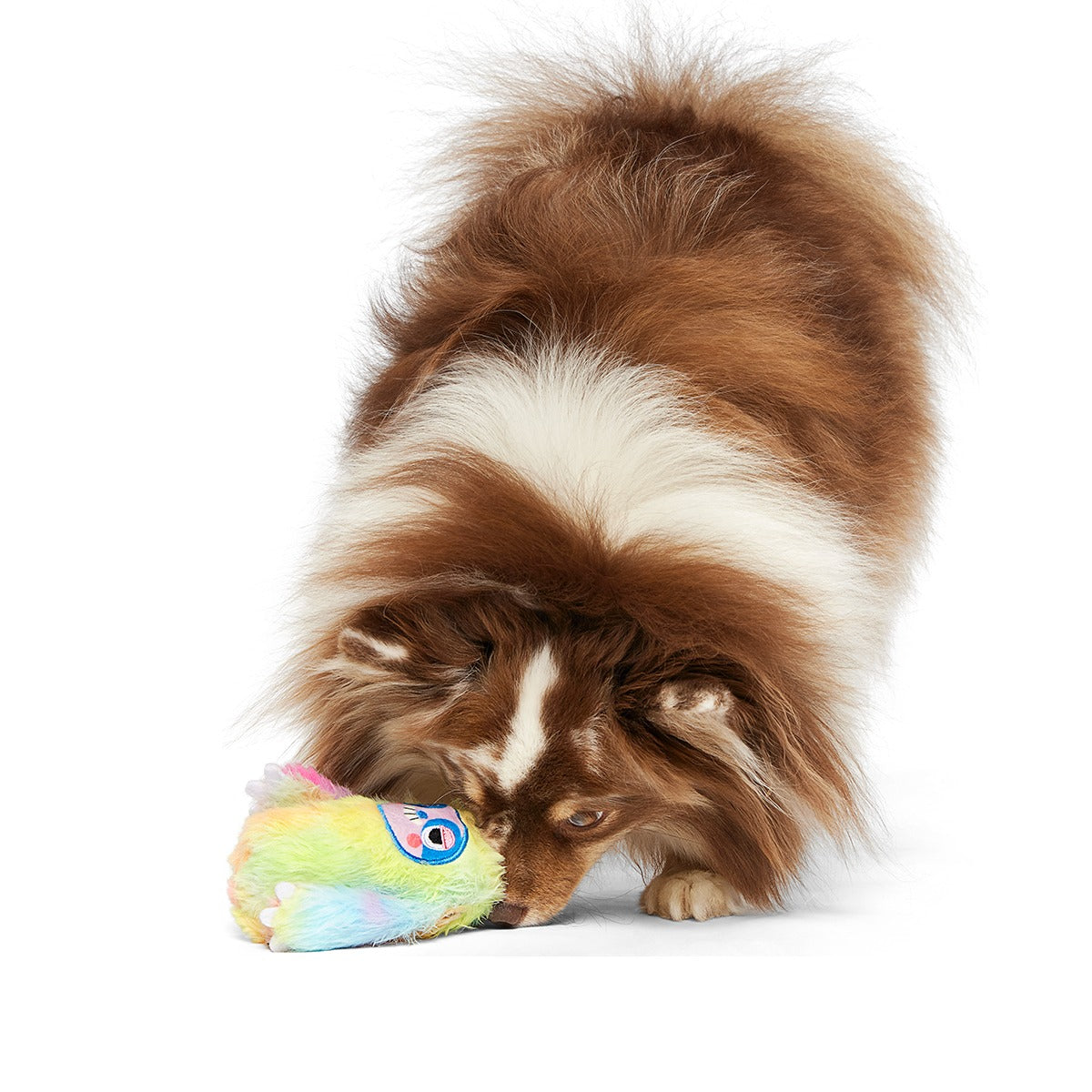 Grateful Ted Super Chewer Durable 2-in-1 + Tug Dog Toy