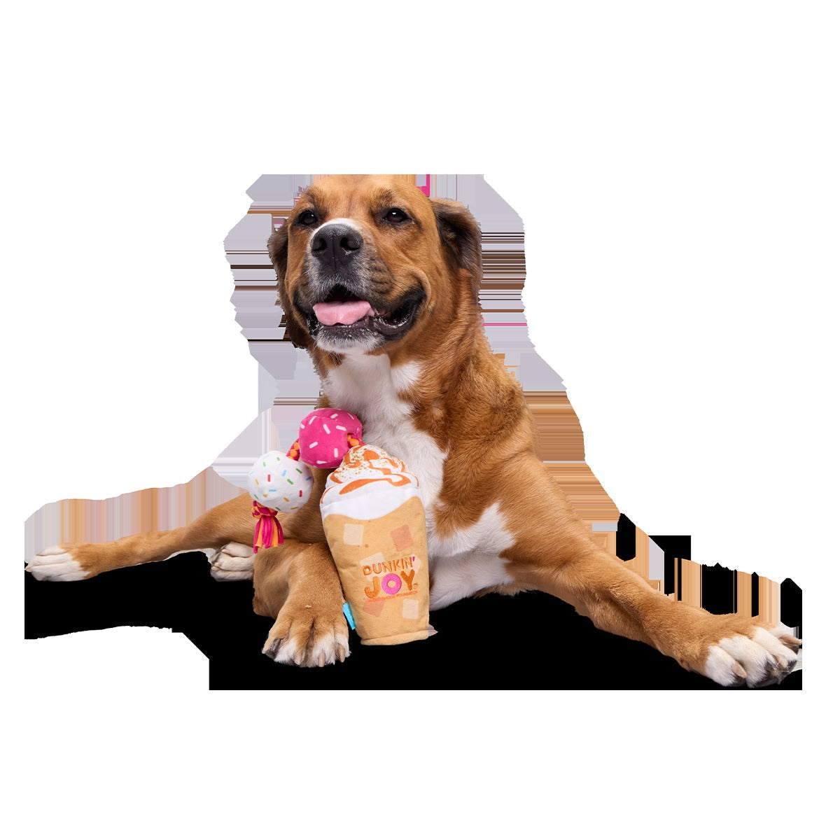Dunkin'® Pumpkin Signature Latte Plush Tug Dog Toy