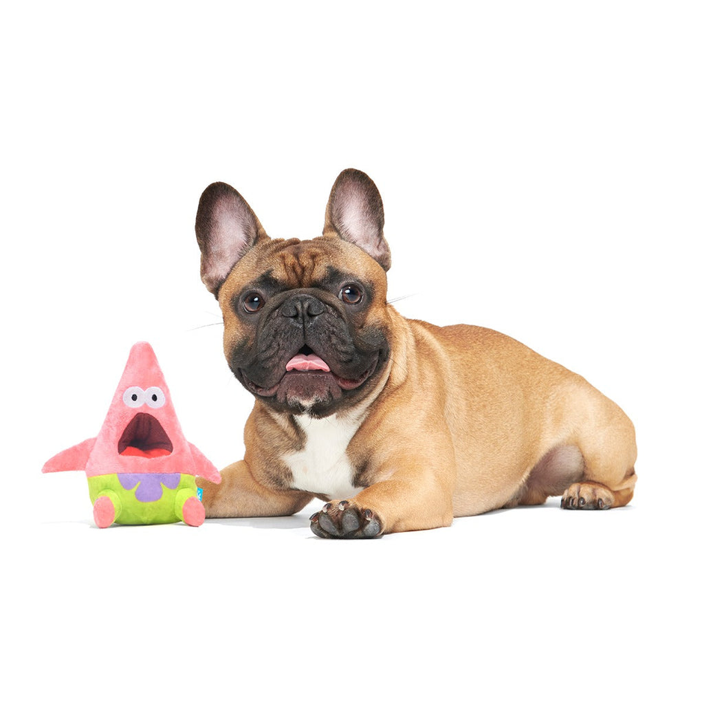 Surprised Patrick Plush Enrichment Dog Toy