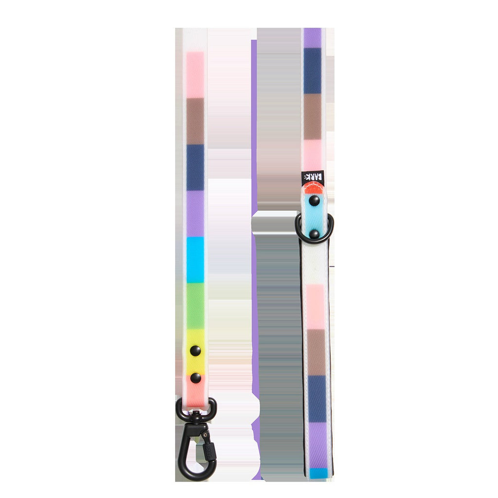 Pride Dog Walking Gear Bundle