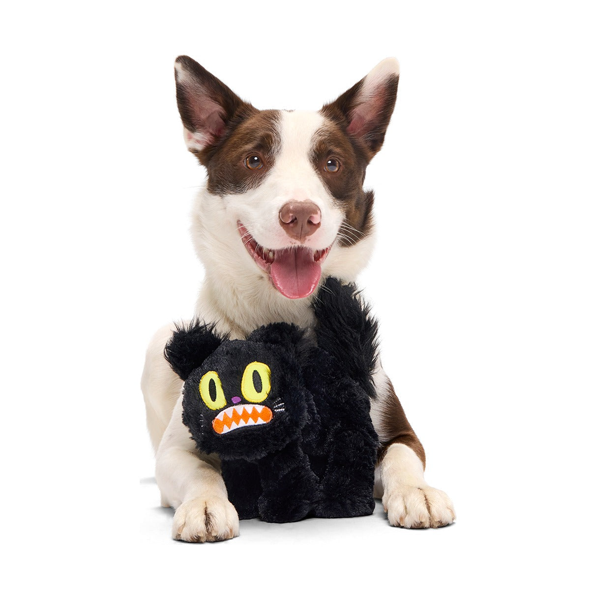 Scaredy Cat Plush Tug Dog Toy