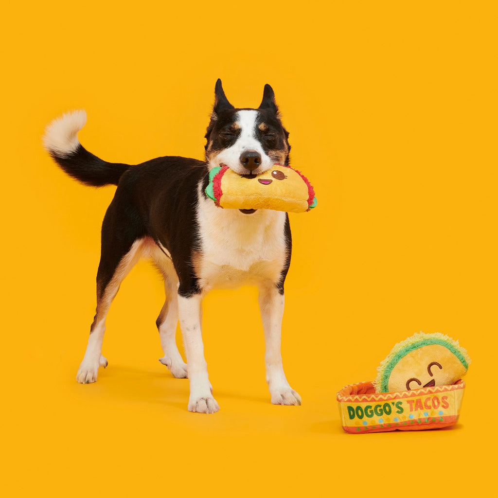 Doggo's Tacos Plush Multi-Part Enrichment Dog Toy