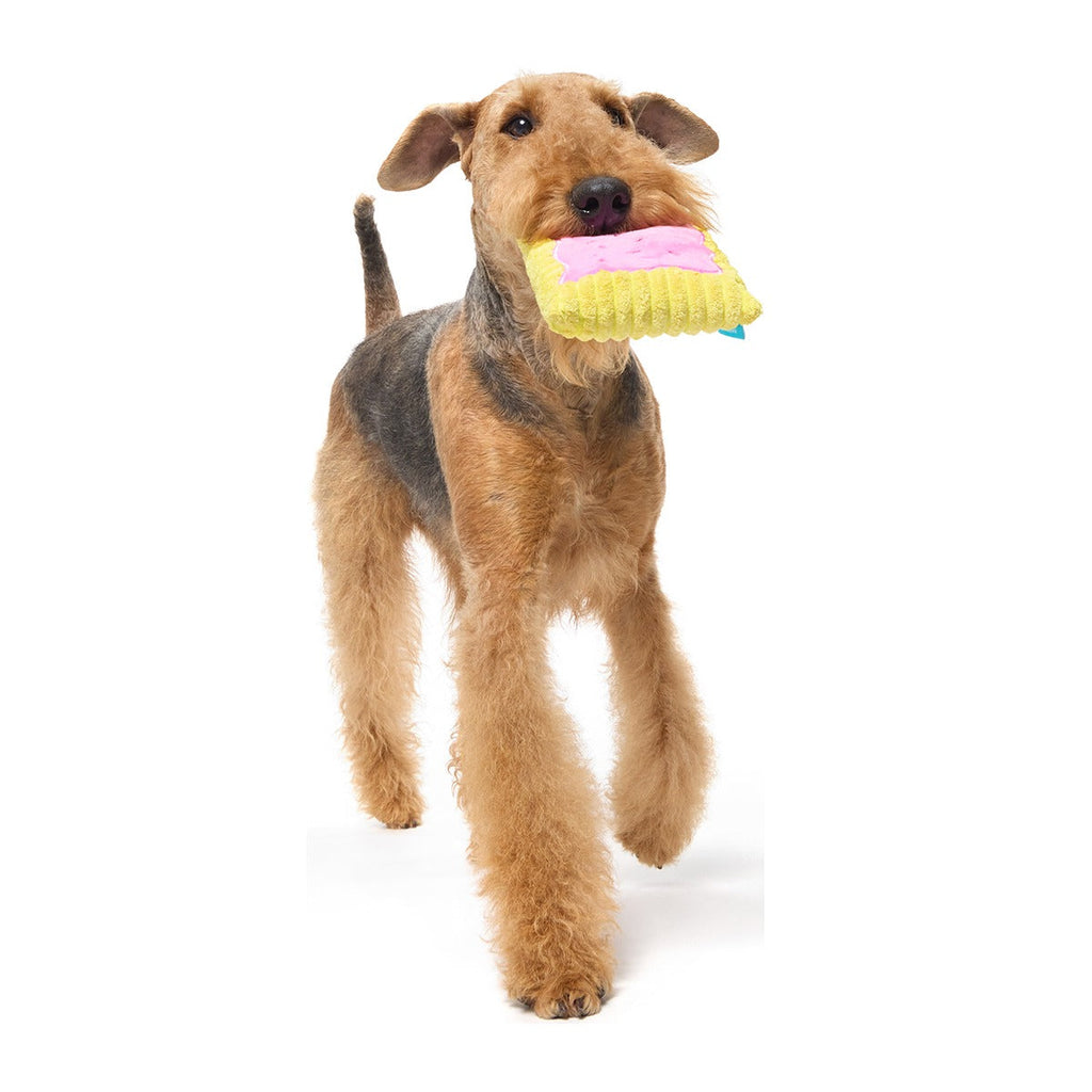 Pup Tart Plush Tug Dog Toy
