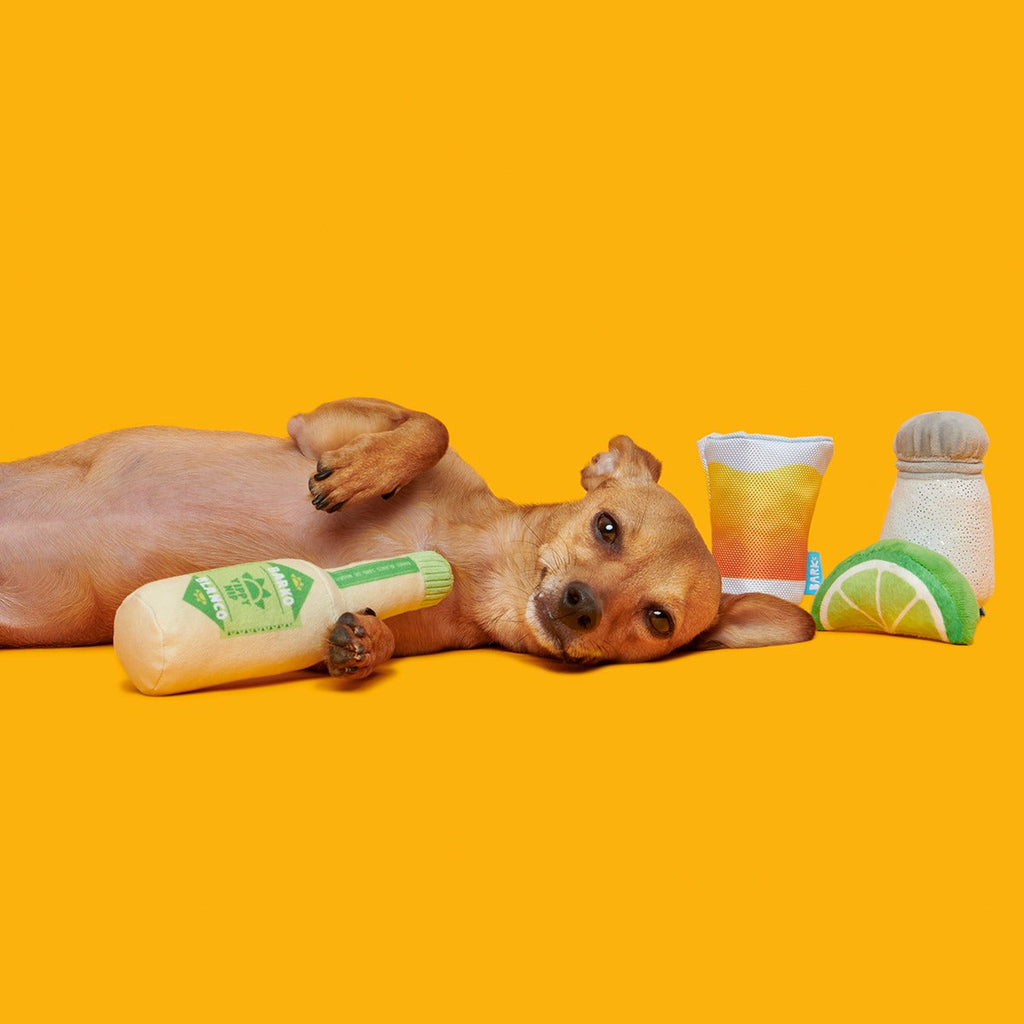 One Tugquila, Chew Tugquila Plush Multi-Part Dog Toy