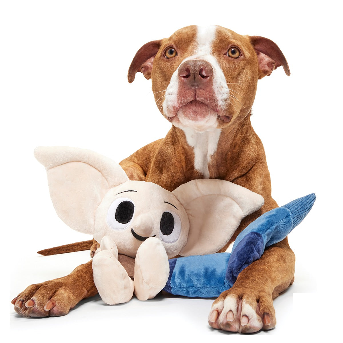 DobbyTM Plush 2-in-1 + Tug Dog Toy