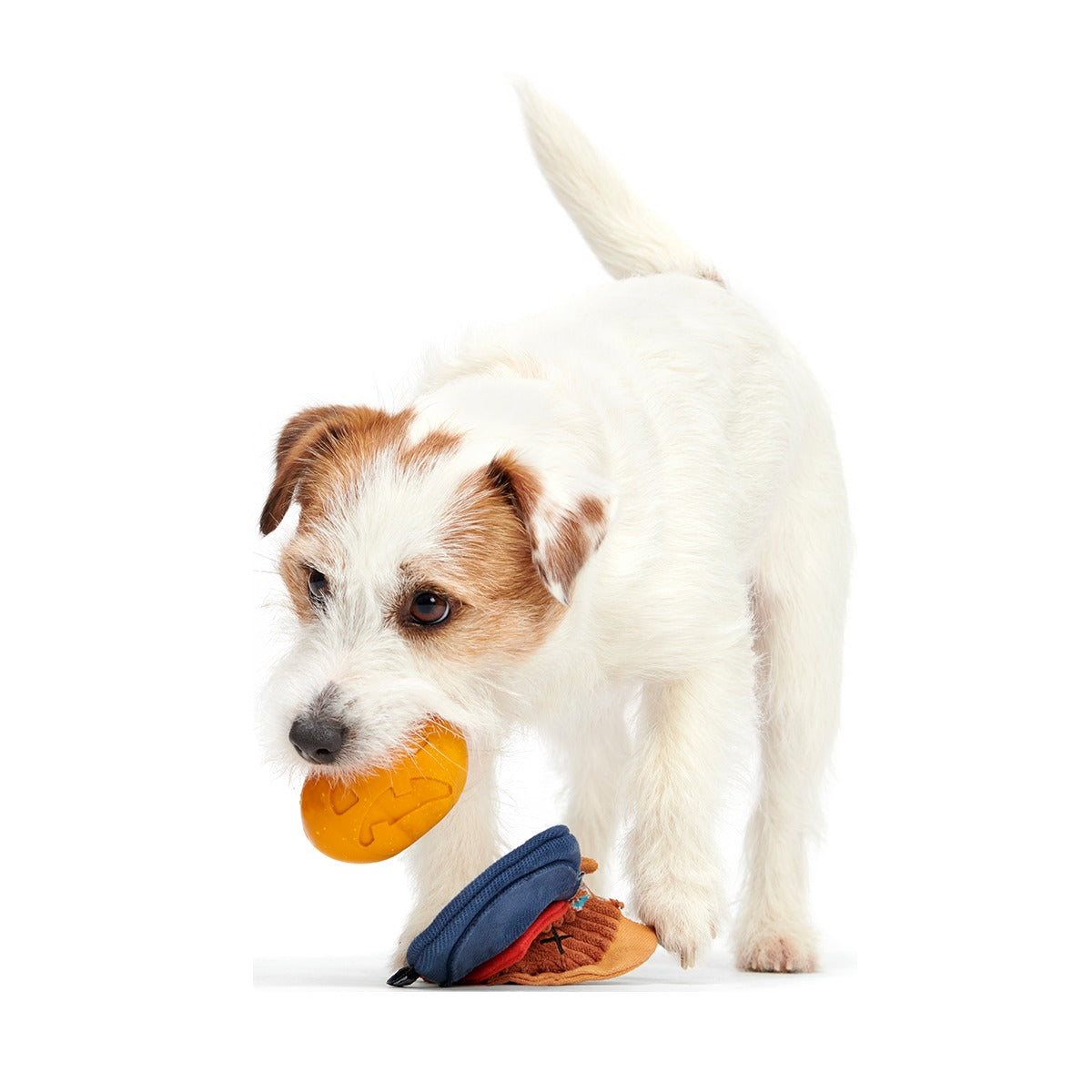 Shreddy Eddy the Scarecrow Super Chewer Durable 2-in-1 + Tug Dog Toy