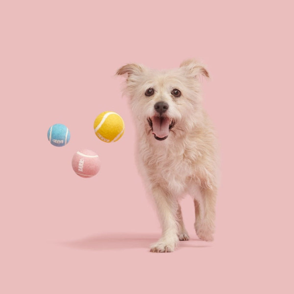 Squeakheart Balls
