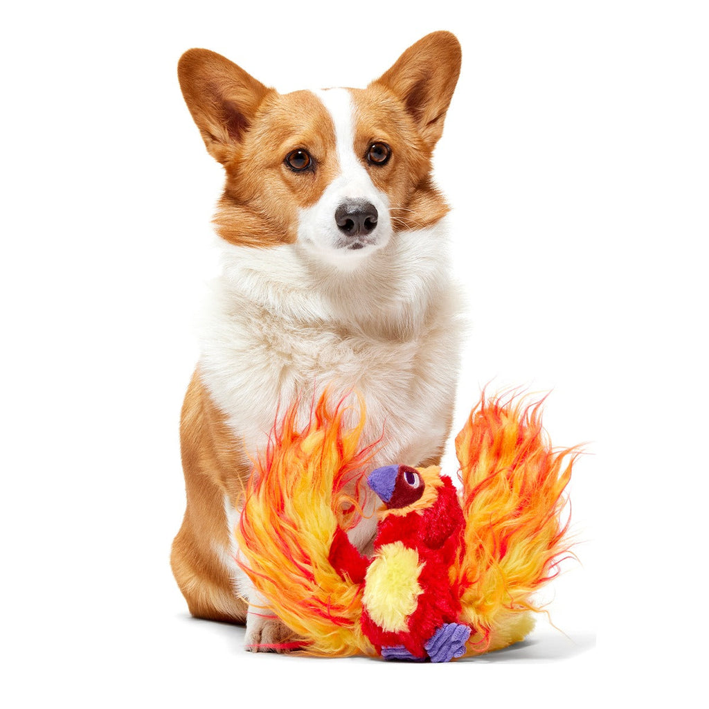 FawkesTM Plush Tug Dog Toy