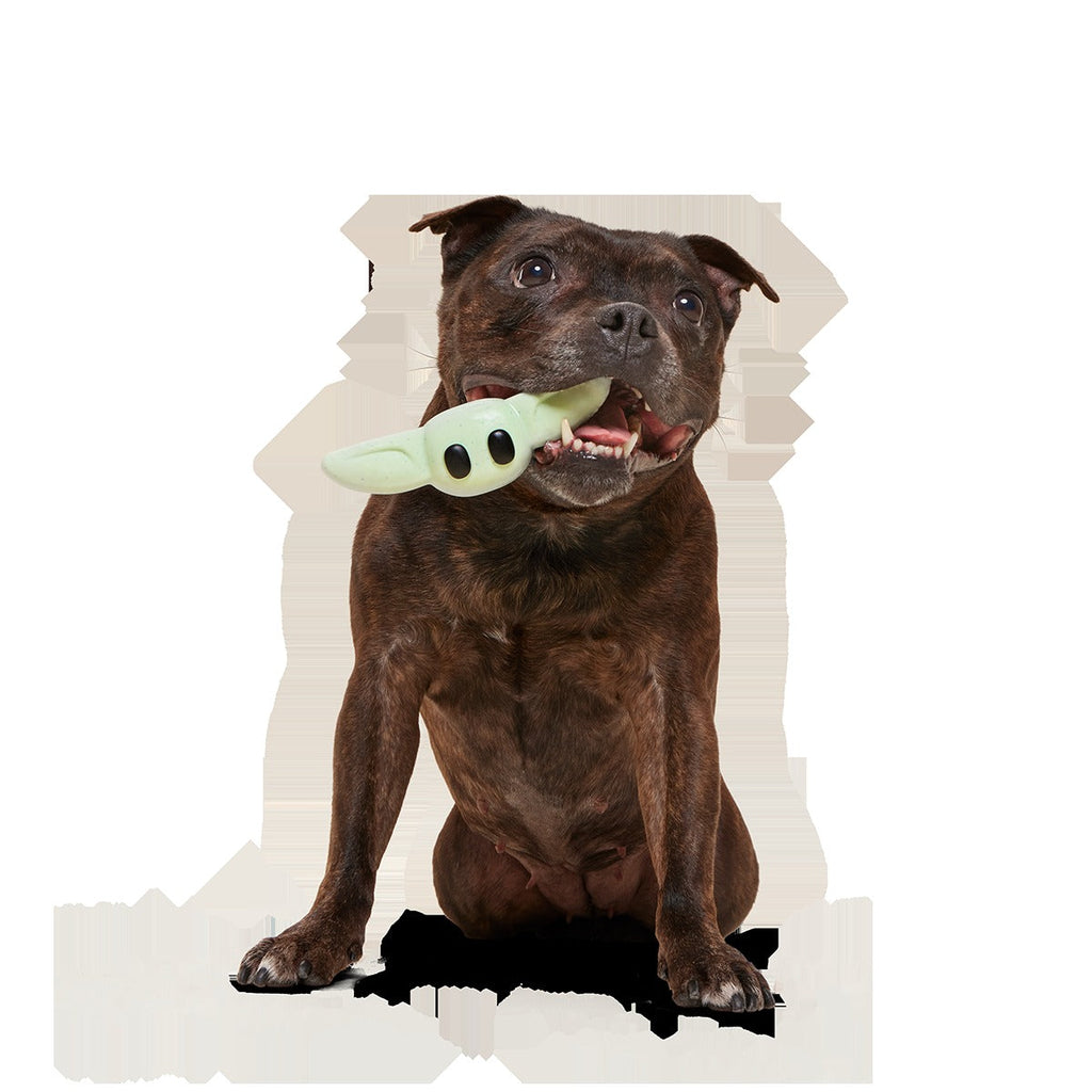 Chew and Chase GroguTM Super Chewer Durable Gnaw Dog Toy