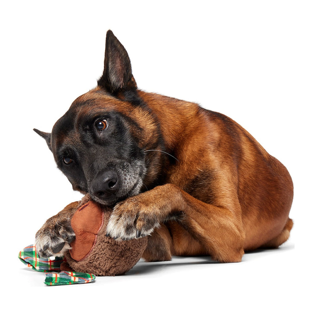 Plaidamoose Super Chewer Durable 2-in-1 + Fetch Dog Toy