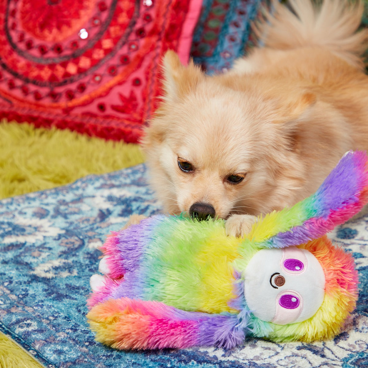 Hairy Garcia Plush Tug Dog Toy