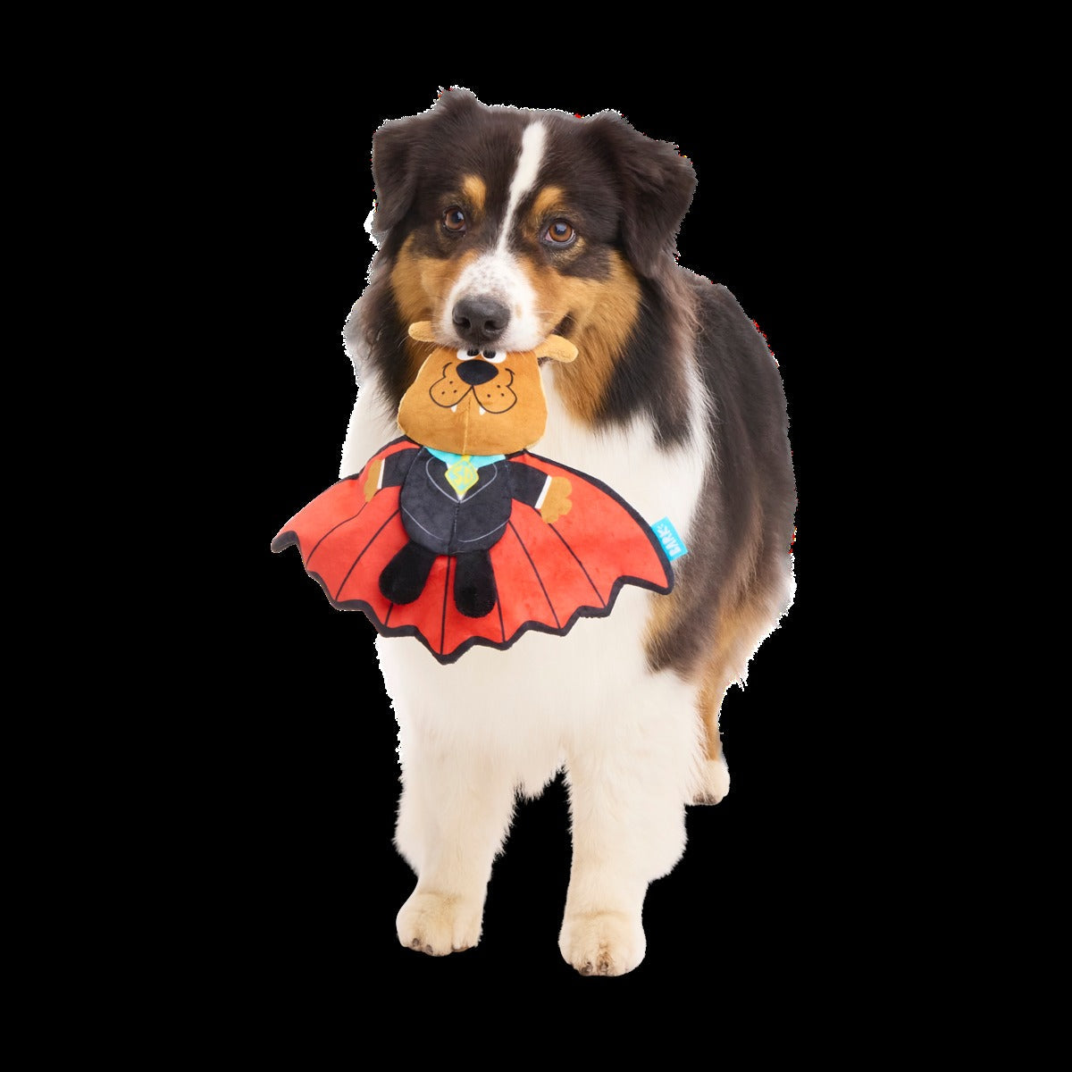 Count Scooby-Dooby-DooTM Plush Tug Dog Toy