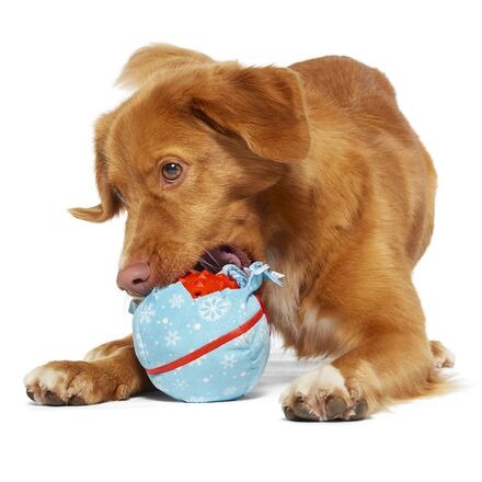 Wripping Pupper Ball Durable Super Chewer 2-in-1 Rip and Reveal Dog Toy