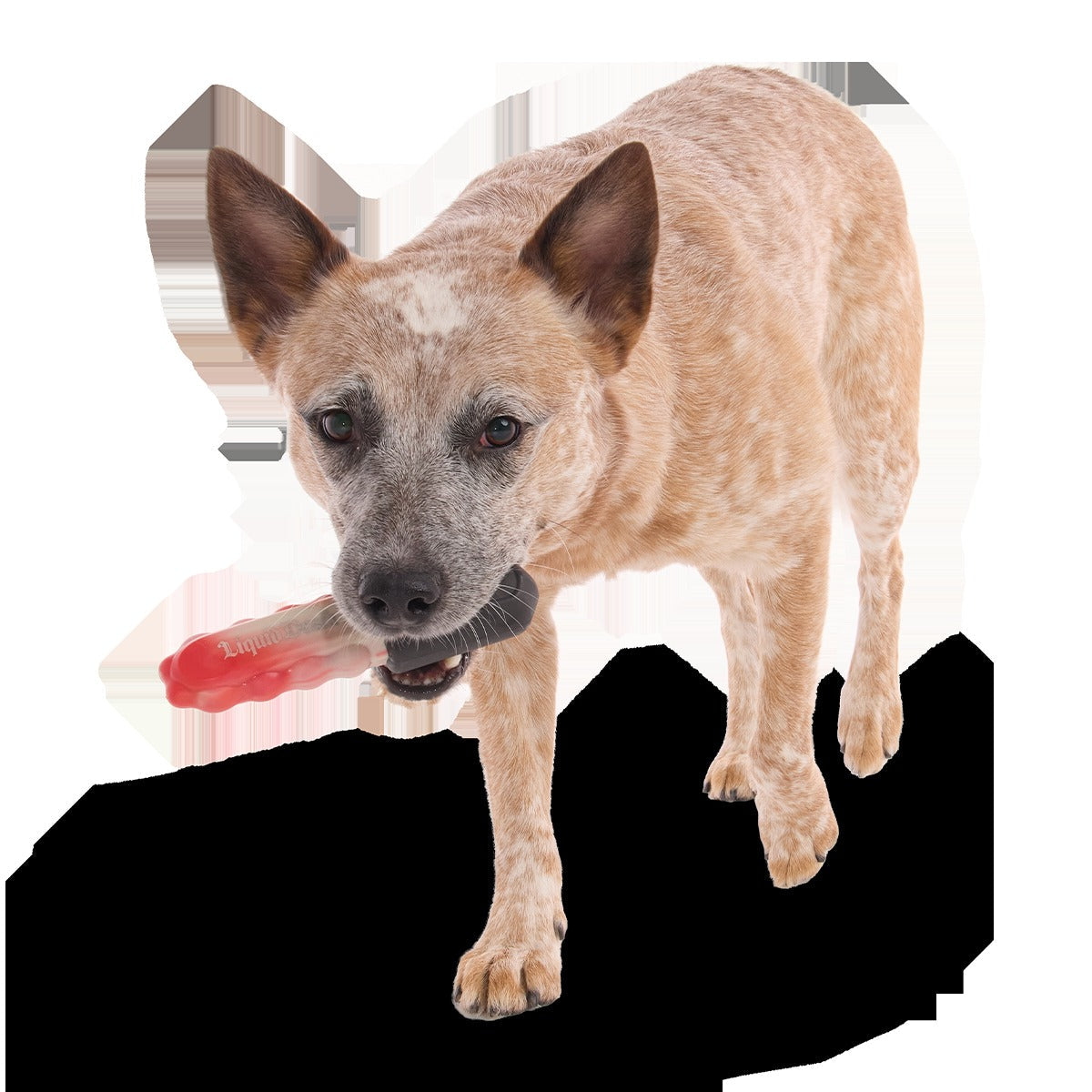 Chewy Chainsaw Super Chewer Durable Gnaw Dog Toy