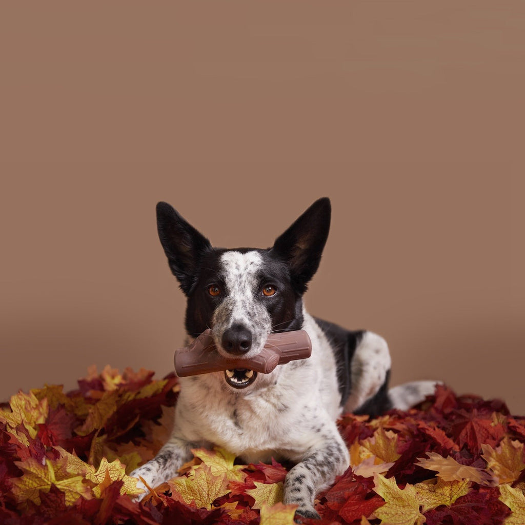 Fall Fetch Stick Super Chewer Durable Gnaw Dog Toy