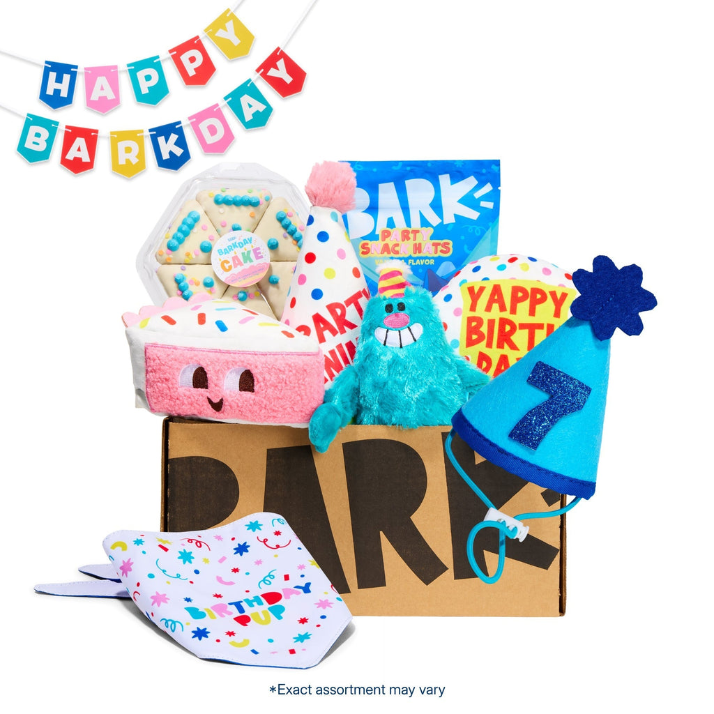 Birthday Classic Plush Gift Box
