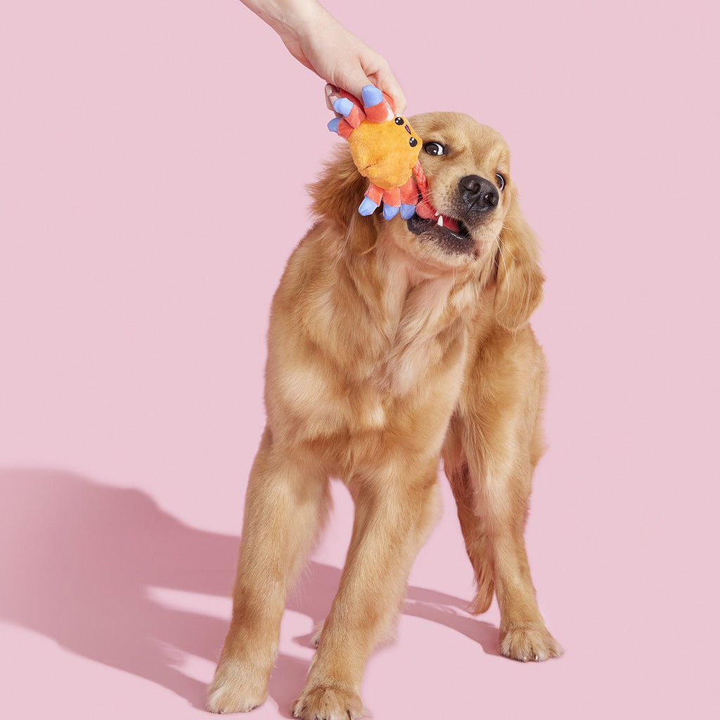 Sally Bitefoot Crab Plush Tug Dog Toy