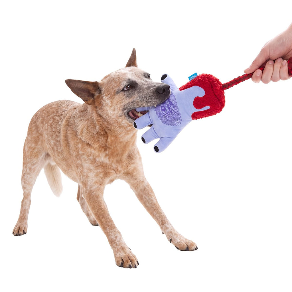 Hand That Feeds Plush Tug Dog Toy