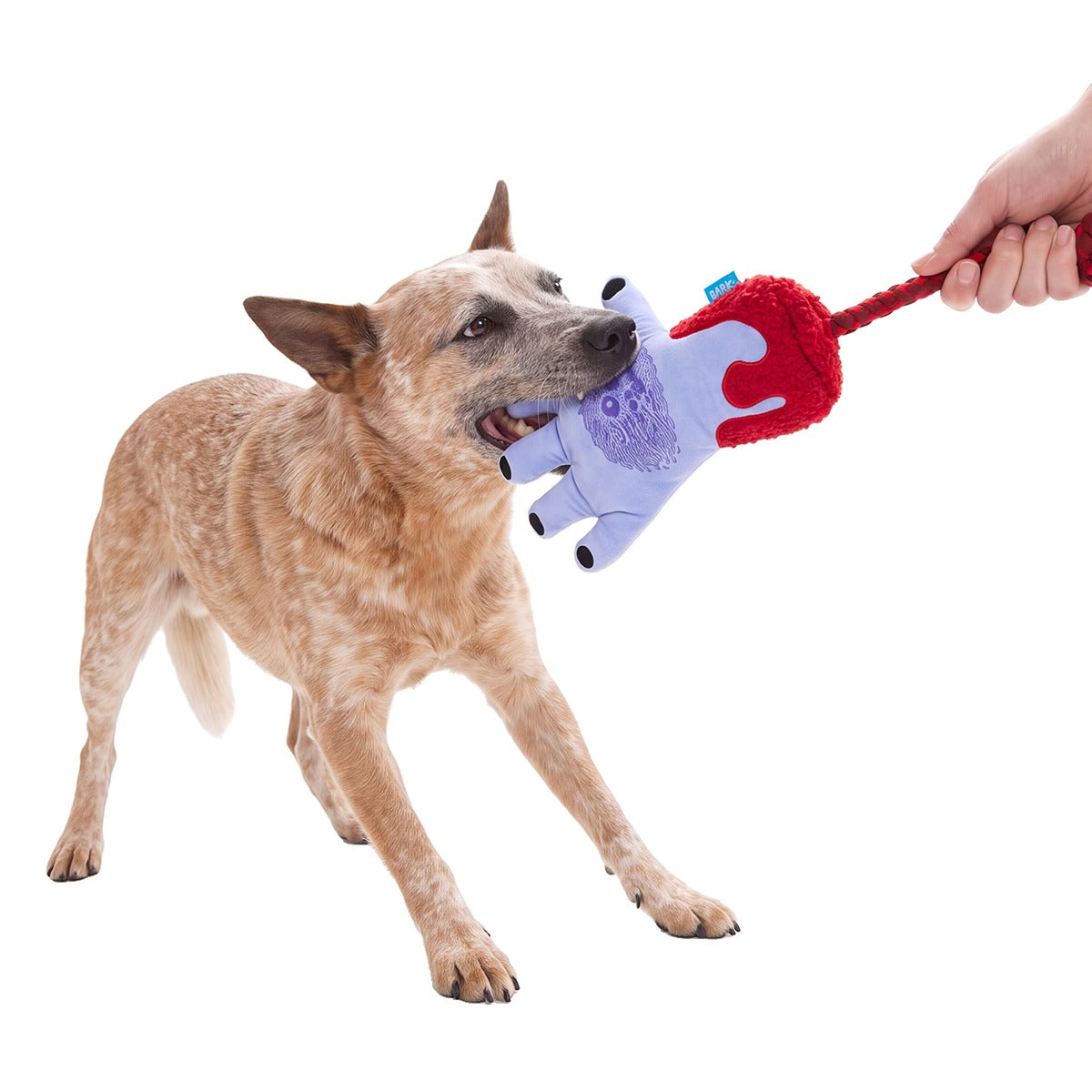 Hand That Feeds Plush Tug Dog Toy
