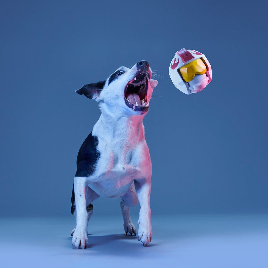 Fetch My Rebel Helmet Super Chewer Durable Fetch Dog Toy