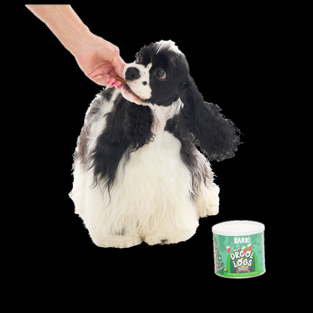 Drool Logs Beef Recipe Dog Treats, 8 oz