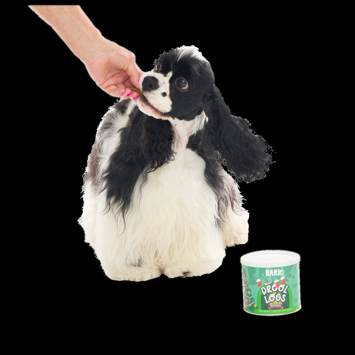 Drool Logs Beef Recipe Dog Treats, 8 oz