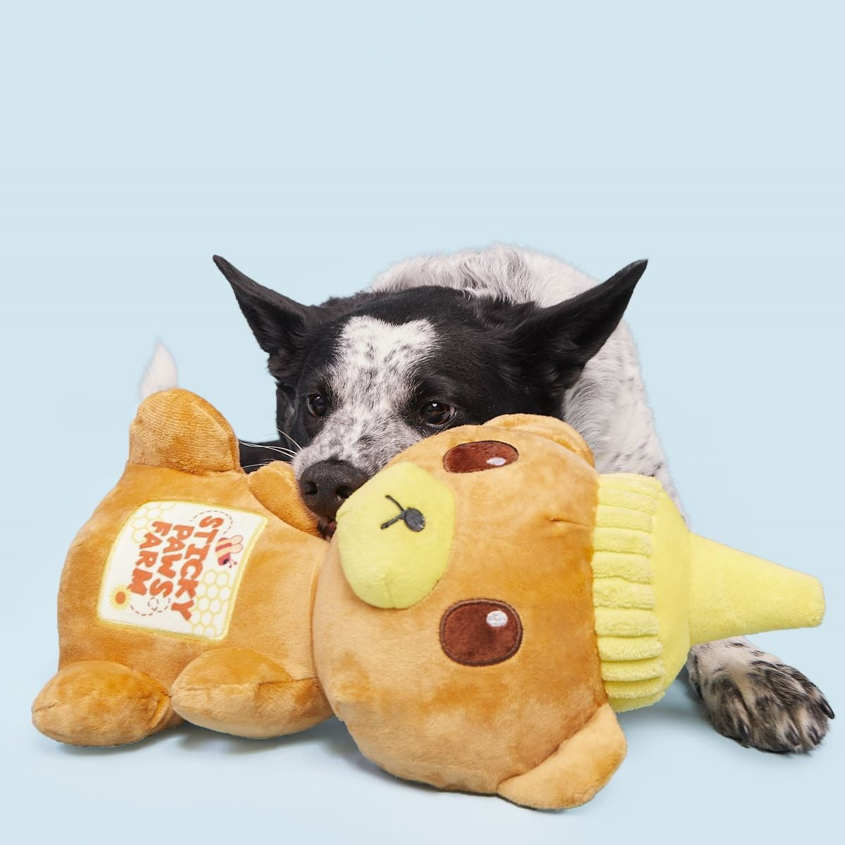 Sticky Paws Honey Bear Plush Extra-Large Dog Toy