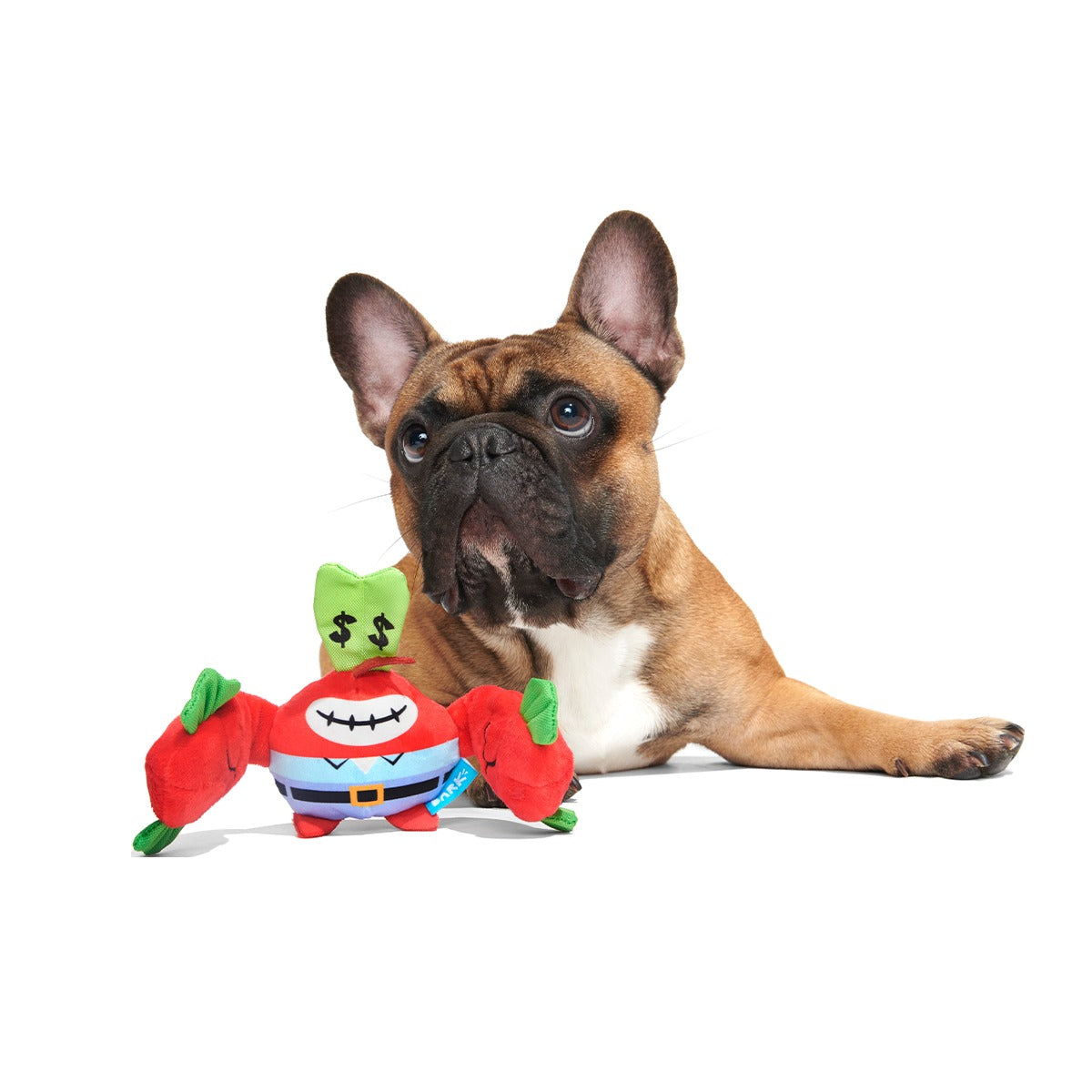 Money-Tugging Mr. Krabs Plush Tug Dog Toy