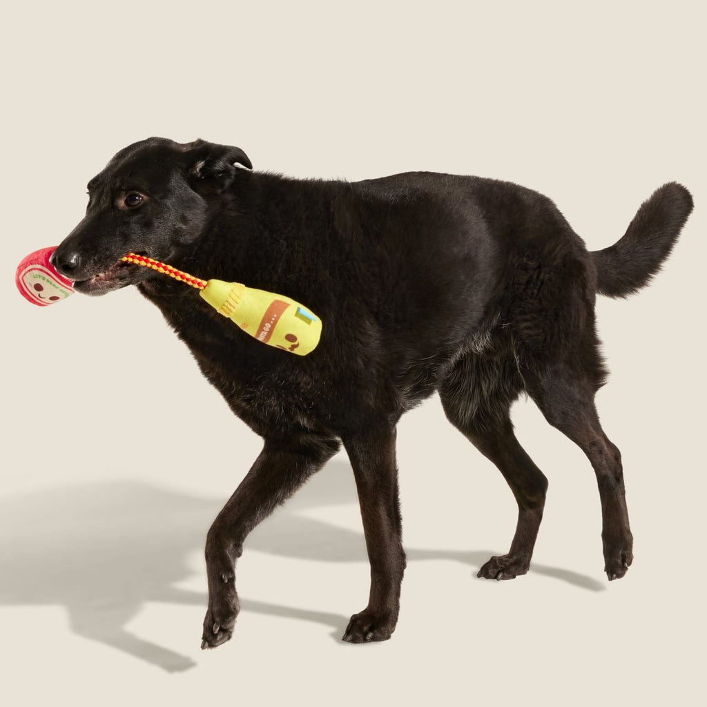 Cat & Mutt Condimutts Plush Tug Dog Toy