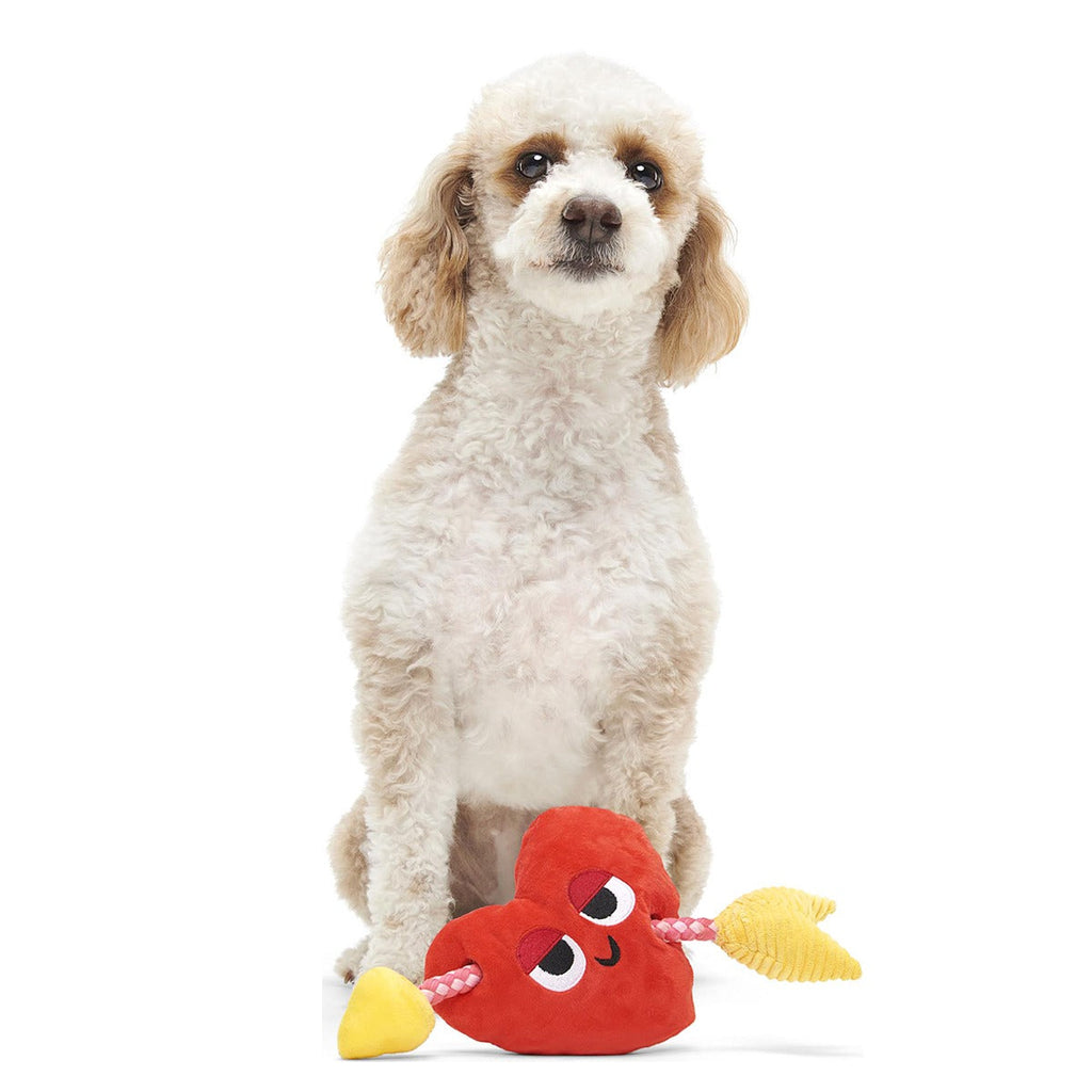 Heart Throbert Plush Tug Dog Toy