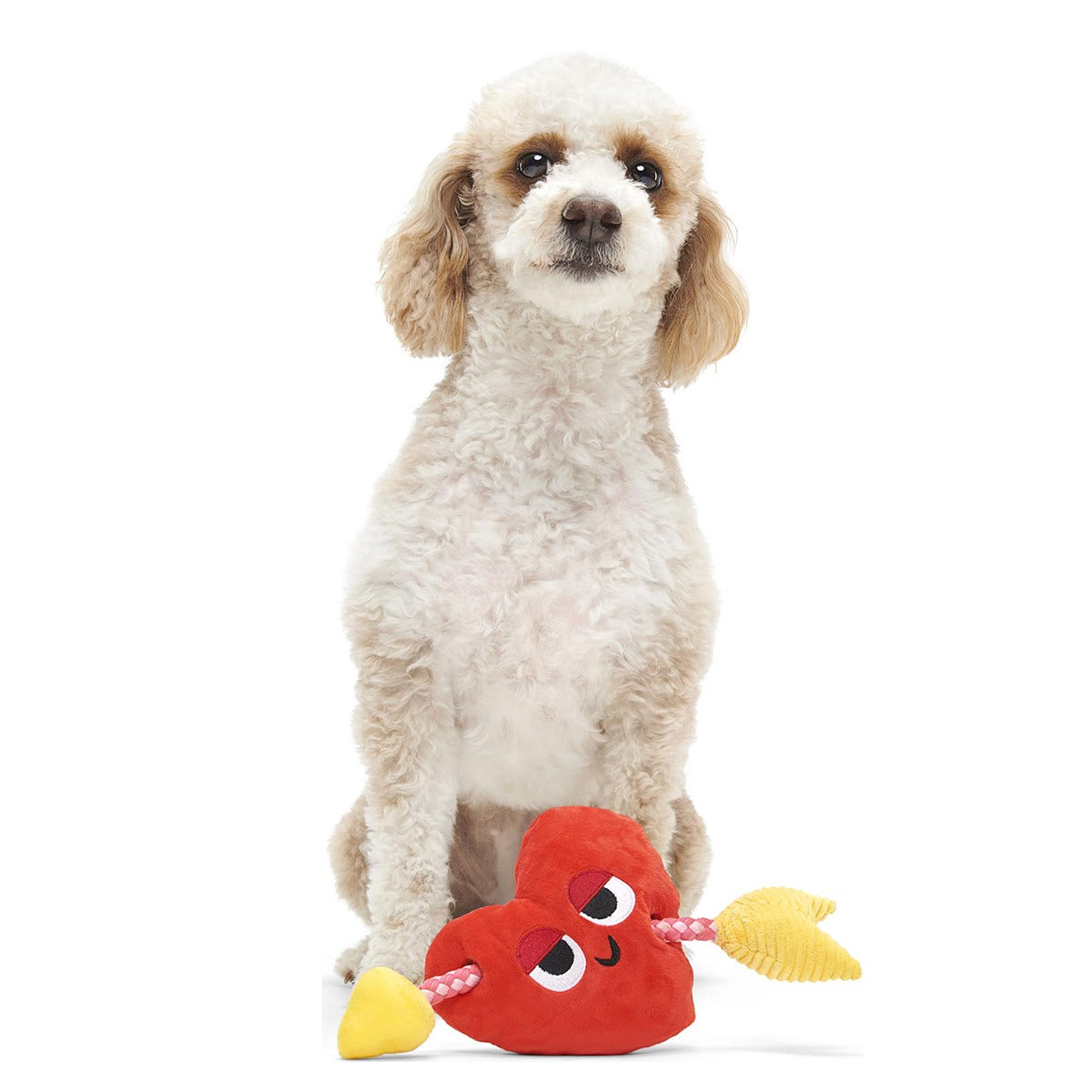 Heart Throbert Plush Tug Dog Toy