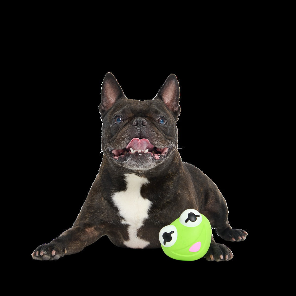 Kermit the Frog as “Bouncing Bob Catch-It" Durable Super Chewer Fetch Dog Toy