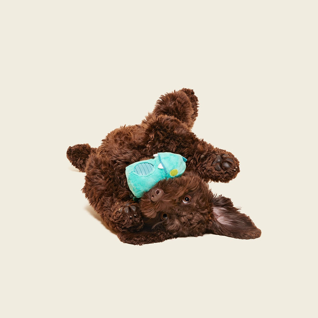 Chomposaurus Super Chewer Durable 2-in-1 Dog Toy