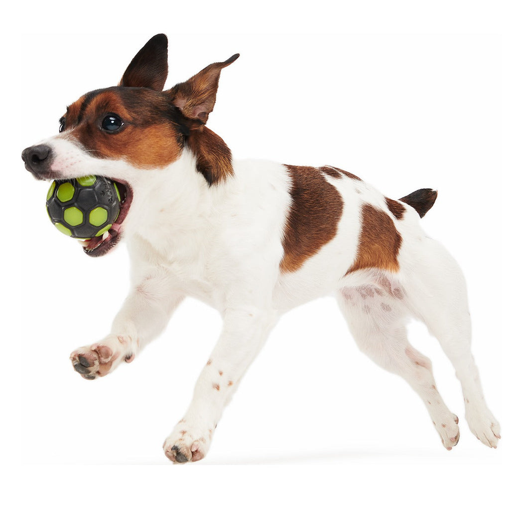 World Pup Snacker Ball Super Chewer Durable Enrichment + Fetch Dog Toy
