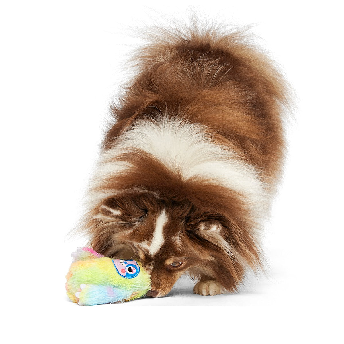 Grateful Ted Super Chewer Durable 2-in-1 + Tug Dog Toy
