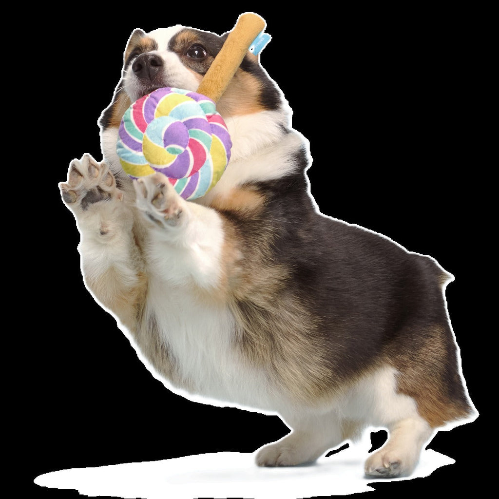 Lick-A-Lot Lollipop Plush Tug Dog Toy