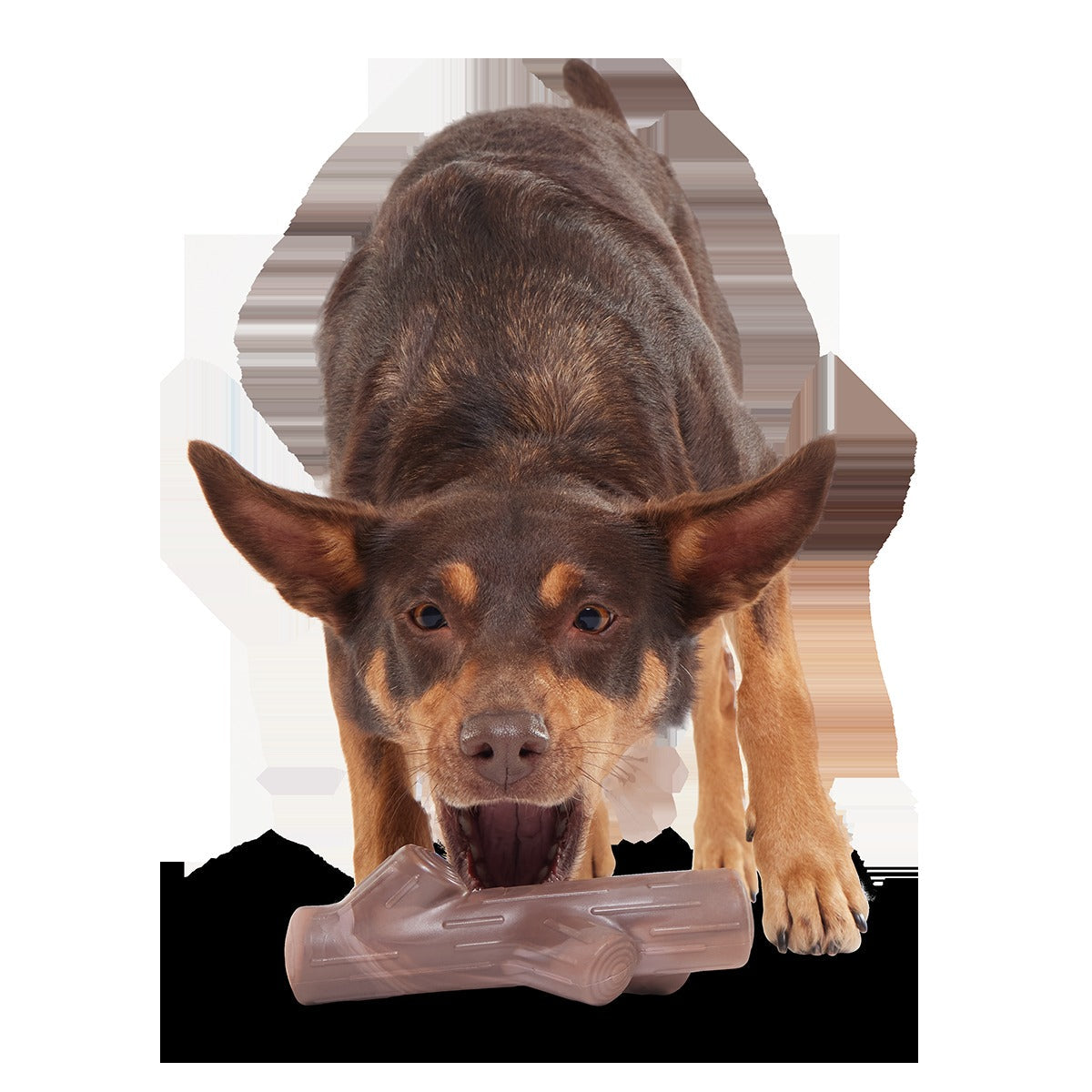 Fall Fetch Stick Super Chewer Durable Gnaw Dog Toy