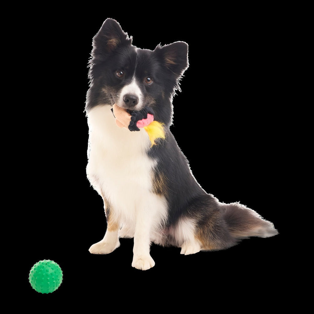 Hot-Headed Harry Super Chewer Durable 2-in-1 + Fetch Dog Toy
