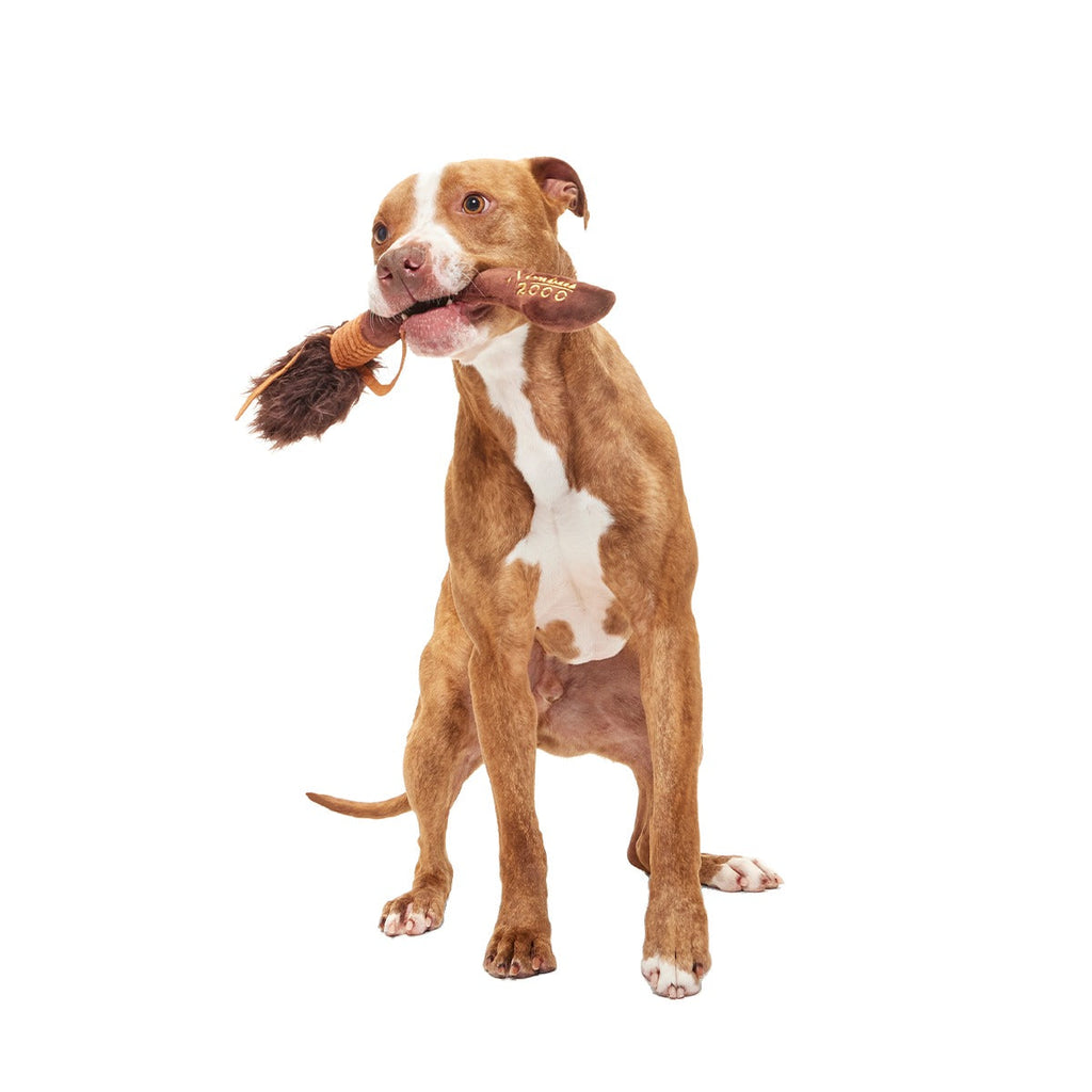 Nimbus 2000TM Broomstick Plush Tug Dog Toy