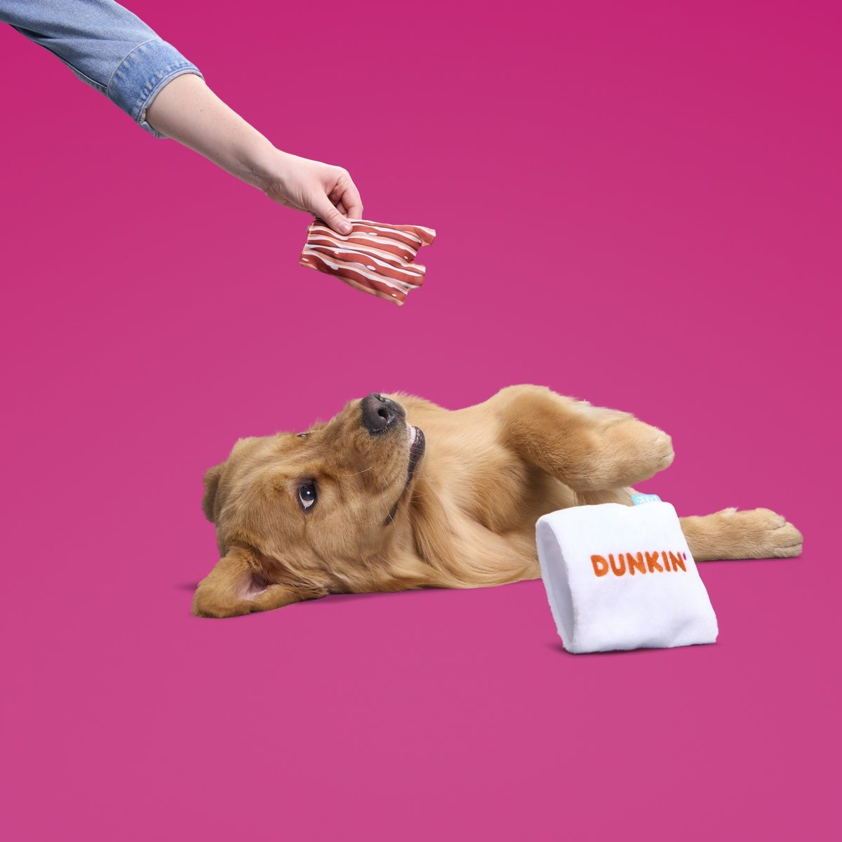 Dunkin'® Snackin' Bacon Plush Multi-Part + Enrichment Dog Toy