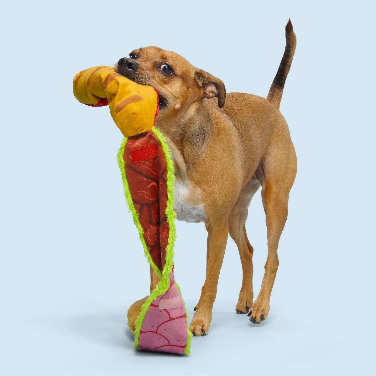 Big Bite Hoagie Plush Extra-Large + Tug Dog Toy
