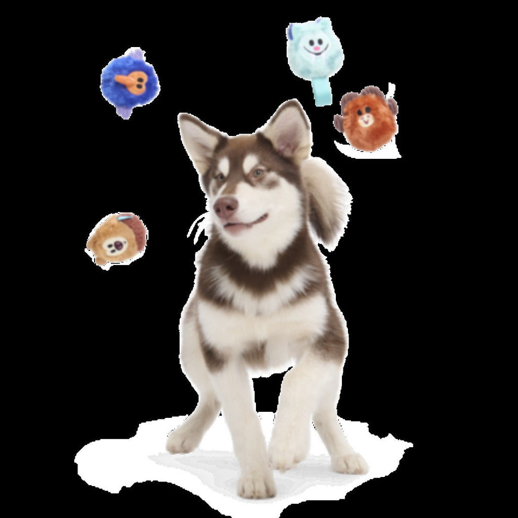 Best Friends Forever Ago Plush Multi-Part Dog Toy