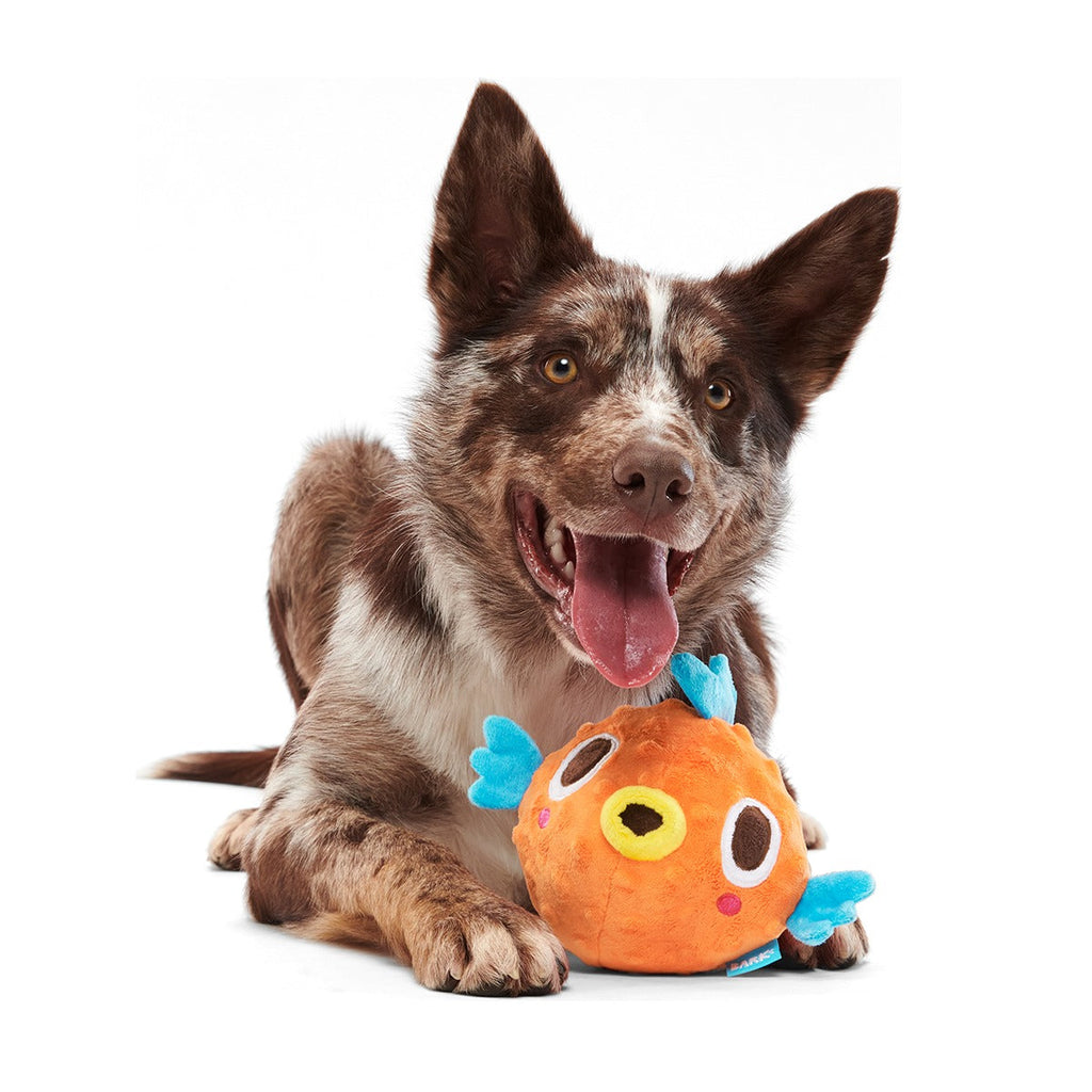 Air Head Plush 2-in-1 + Fetch Dog Toy