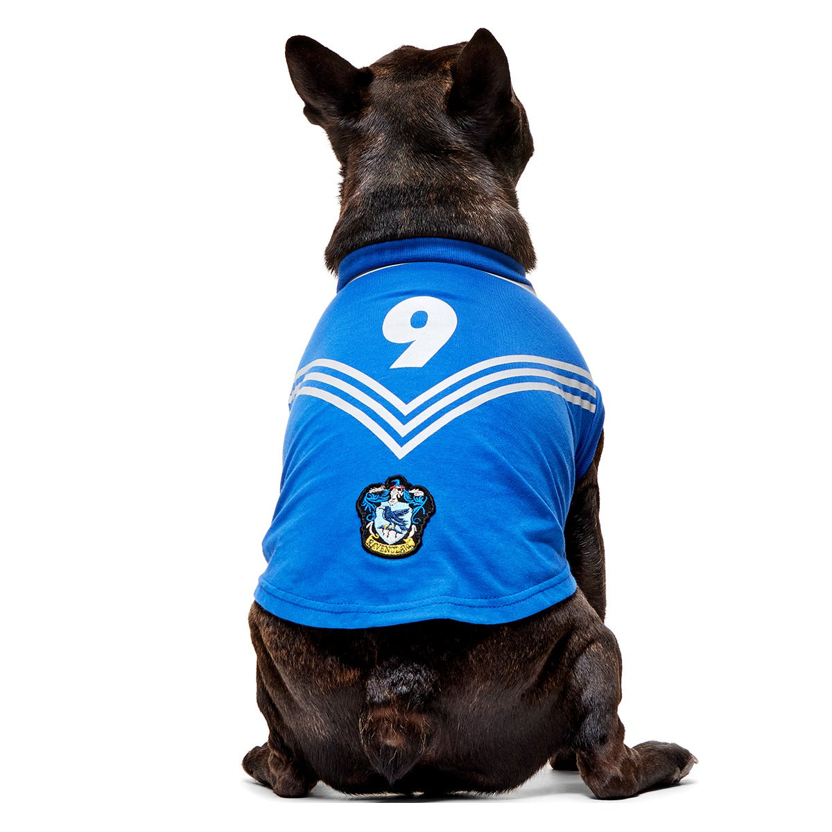 QuidditchTM Jersey