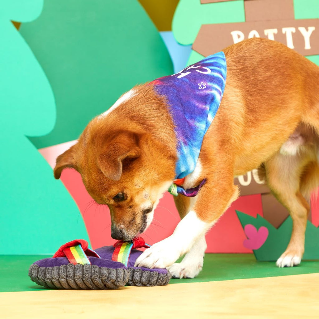 Bandana-Rama Yip Flops Plush Multi-Part Dog Toy and Dog Bandana