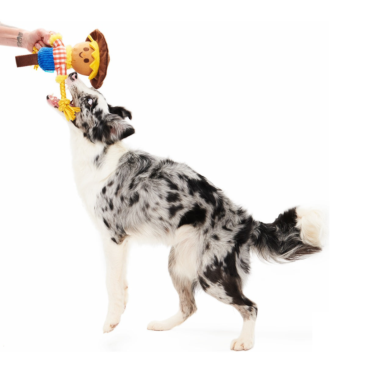 Not Scary Harry Plush Tug Dog Toy
